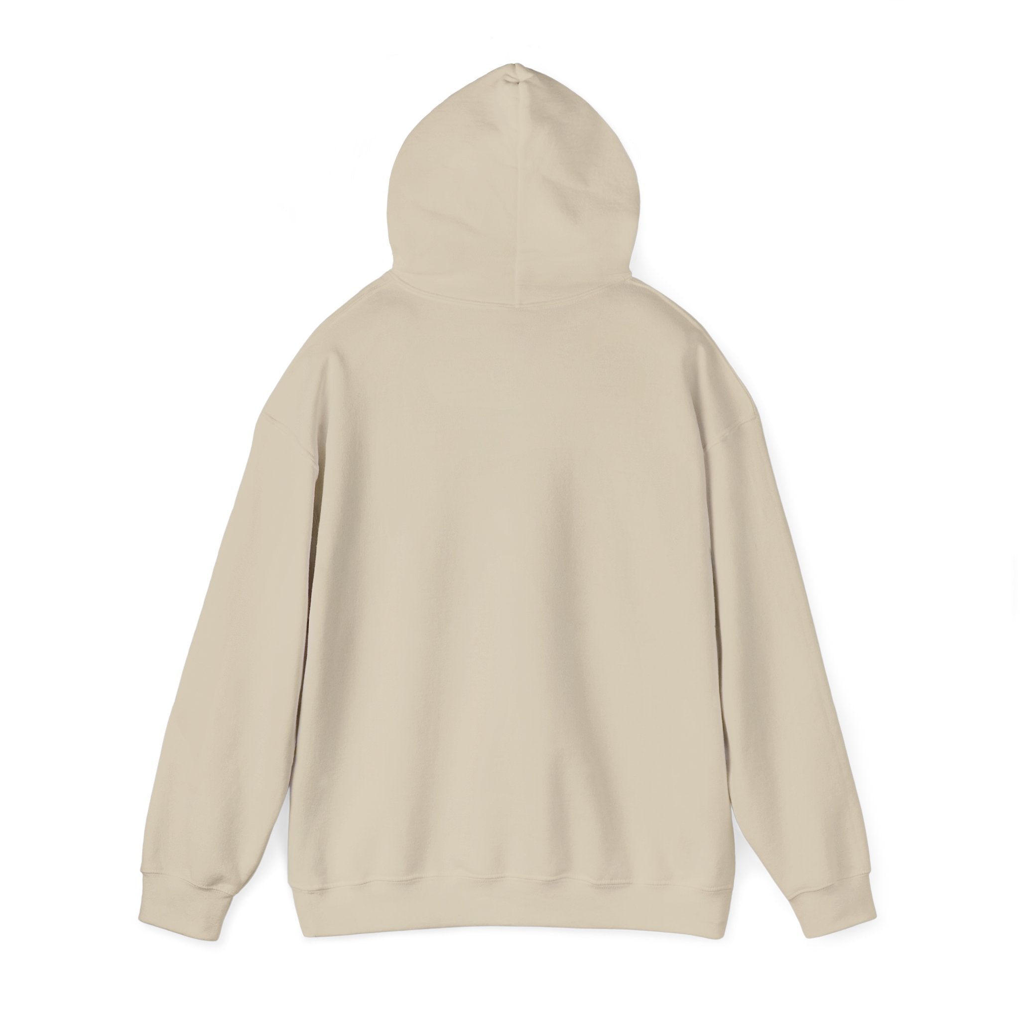 SOFT CHAOS Hoodie